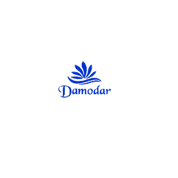 The profile picture for Damodar Perforators